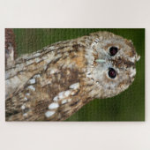 Tawny Owl Puzzle (Horizontal)