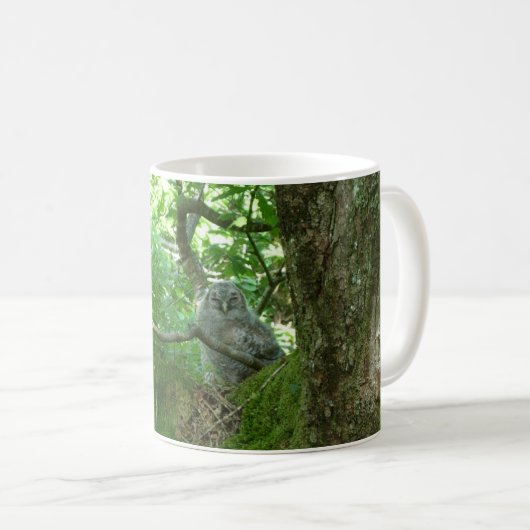 Tawny Owlet in einem alten Eichenbaum Kaffeetasse (VorderseiteRechts)
