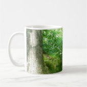 Tawny Owlet in einem alten Eichenbaum Kaffeetasse (Links)