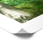 Tawny Owlet in einem antiken Oak Trester Poster (Ecke)