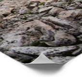 Tawny Point Panorama - John Muir Trail Poster (Ecke)