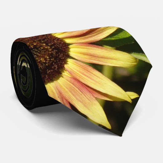 Tawny rosa Sonnenblume Krawatte (Gerollt)