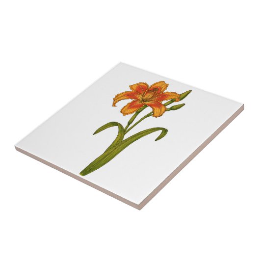 Tawny Taglilie Fliese (Seite)