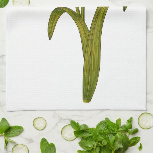 Tawny Taglilie Geschirrtuch (Gefaltet)