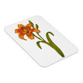 Tawny Taglilie Magnet (Rechte Seite)