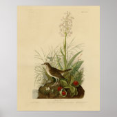 Tawny Thrush (Veery) - Audubons Vögel von Amerika Poster (Vorne)