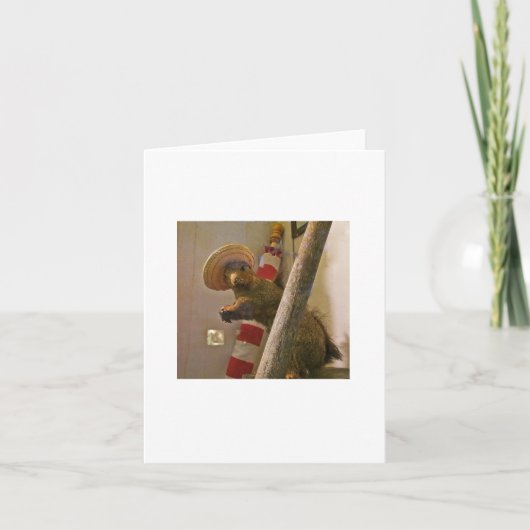 Taxidermy-Eichhörnchen in einer Karte (Vorderseite)