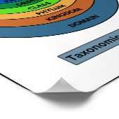 Taxonomische Klassifizierung Poster (Ecke)