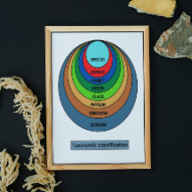 Taxonomische Klassifizierung