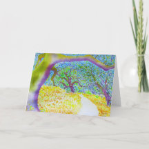 Taylor-Gebirgsregionale Park-Spur