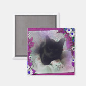 Taylor Kühlschrank Magnet (Vorderseite/Rückseite)