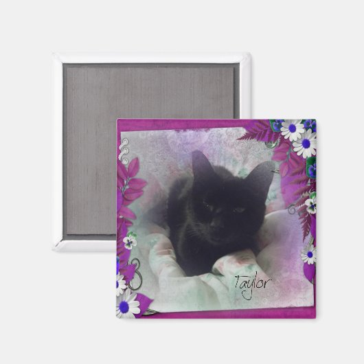 Taylor Kühlschrank Magnet (Vorderseite/Rückseite)