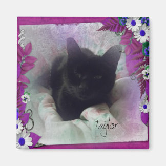 Taylor Kühlschrank Magnet