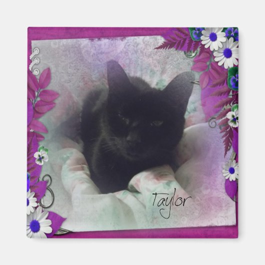 Taylor Kühlschrank Magnet (Vorne)