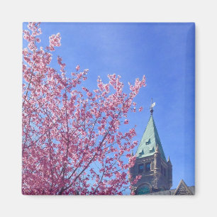 Taylor Tower in Spring, Bryn Mawr Uni Magnet