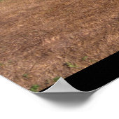 Taylorcraft, BC-12D, 1946_Classic Aviation Poster (Ecke)