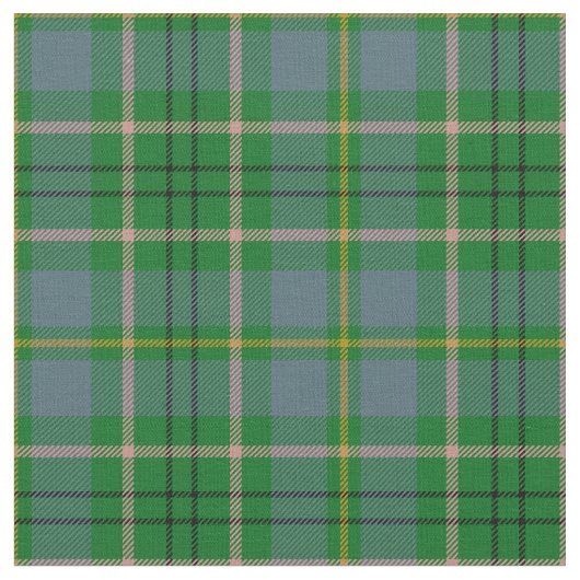 Taylortartan-Druck Stoff (Nahaufnahme)