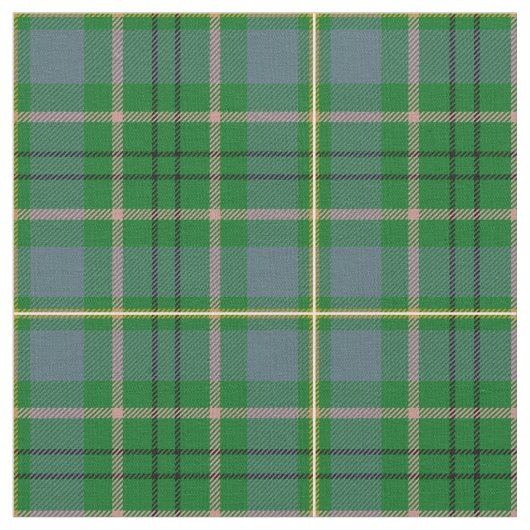 Taylortartan-Druck Stoff (Nahaufnahme)