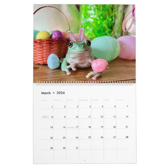 Tays Exotic Critters Rescue 2024 Kalender (Mär 2026)