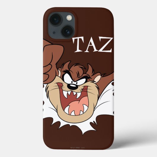 TAZ™ Burning Through Page Case-Mate iPhone Hülle (Rückseite)