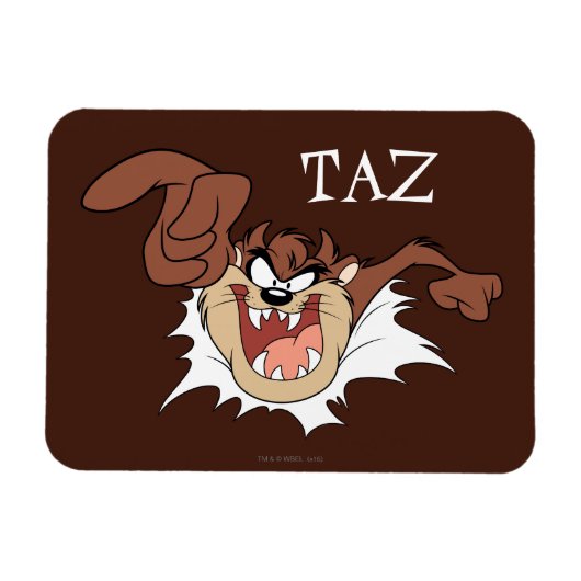 TAZ™ Burning Through Page Magnet (Horizontal)