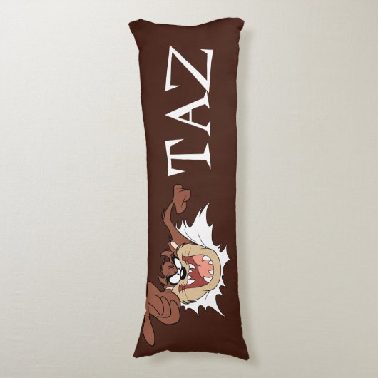 TAZ™ Burning Through Page Seitenschläferkissen (Vorderseite Vertikal)