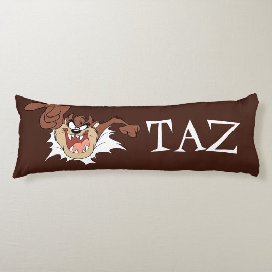 TAZ™ Burning Through Page Seitenschläferkissen (Vorderseite)