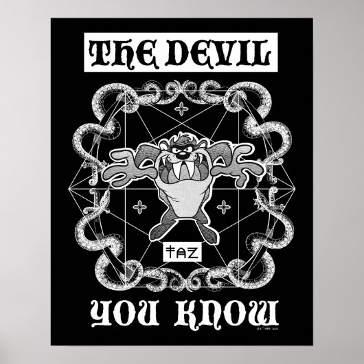 TAZ™ Der Teufel, den Sie kennen Poster (Vorne)