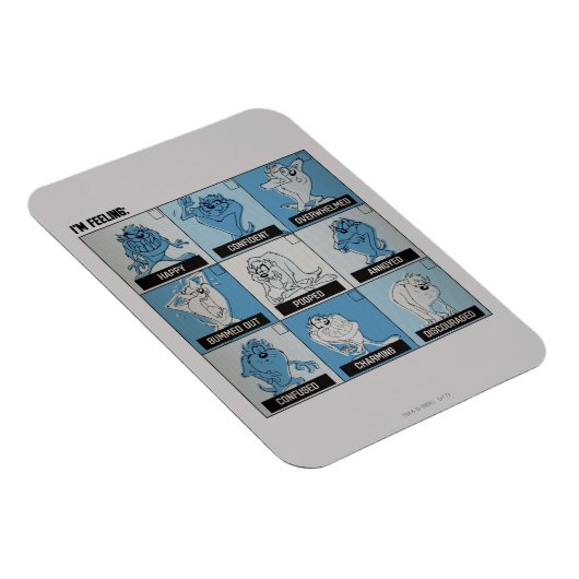 TAZ™ Emotion Checkbox Magnet (Rechte Seite)