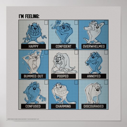 TAZ™ Emotion Checkbox Poster (Vorne)