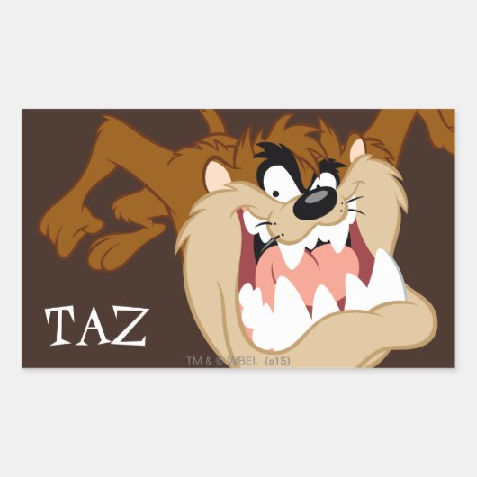 TAZ™ Evil Grin Rechteckiger Aufkleber (Vorderseite)