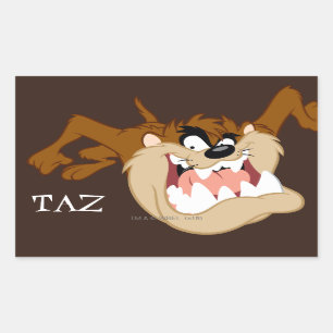 TAZ™ Evil Grin Rechteckiger Aufkleber