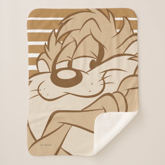 TAZ™ Expressive 31 Sherpadecke (Vorderseite)