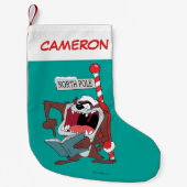 TAZ™ "ICH CAROL JETZT!" KLEINER WEIHNACHTSSTRUMPF (Vorderseite)