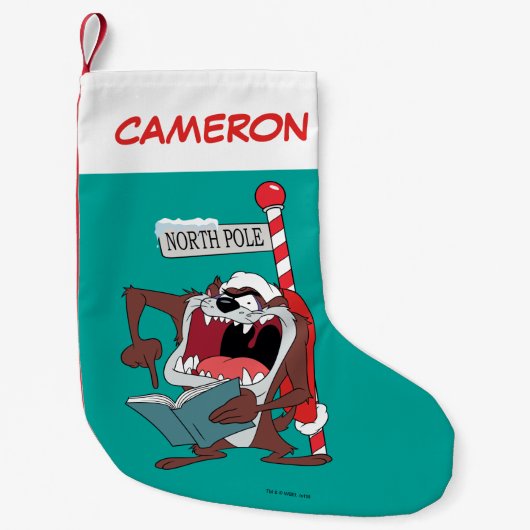 TAZ™ "ICH CAROL JETZT!" KLEINER WEIHNACHTSSTRUMPF (Vorderseite)