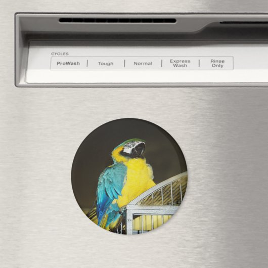 Taz... Magnet (In Situ (Geschirrspüler))