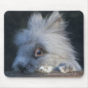 Taz-Mauspad Mousepad