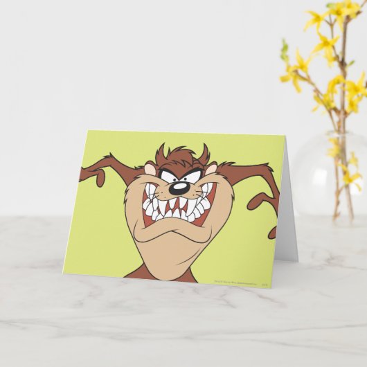 TAZ™ mit 15 Karte (Gelbe Blume)