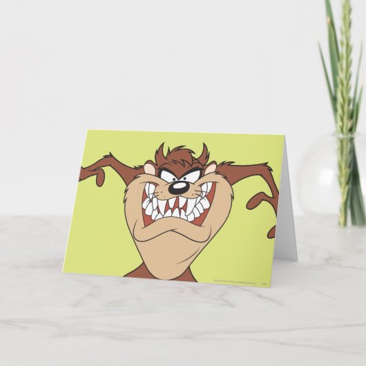 TAZ™ mit 15 Karte (Vorderseite)