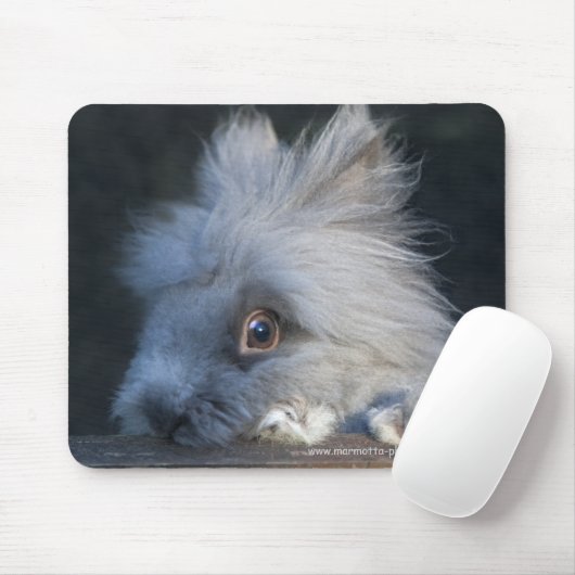 Taz Mousemat Mousepad (Mit Mouse)