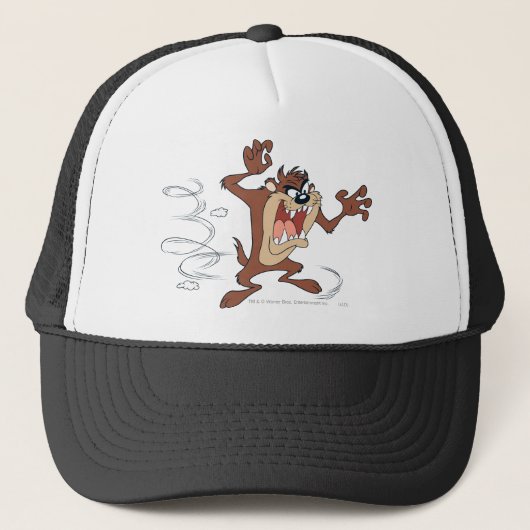 TAZ™ posing 10 Truckerkappe (Vorderseite)