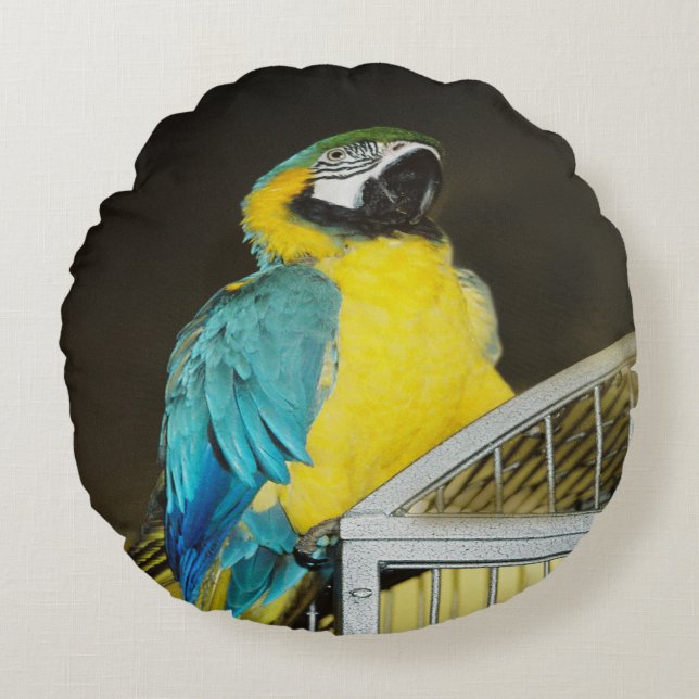 Taz... Rundes Kissen (Vorderseite)