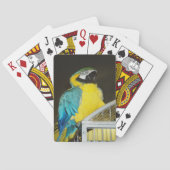 Taz... Spielkarten (Rückseite)