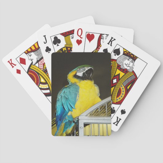 Taz... Spielkarten (Rückseite)