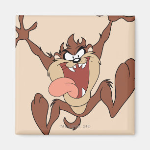 TAZ™ Sprung Magnet