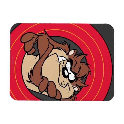 TAZ™ Through LOONEY TUNES™ Magnet (Horizontal)