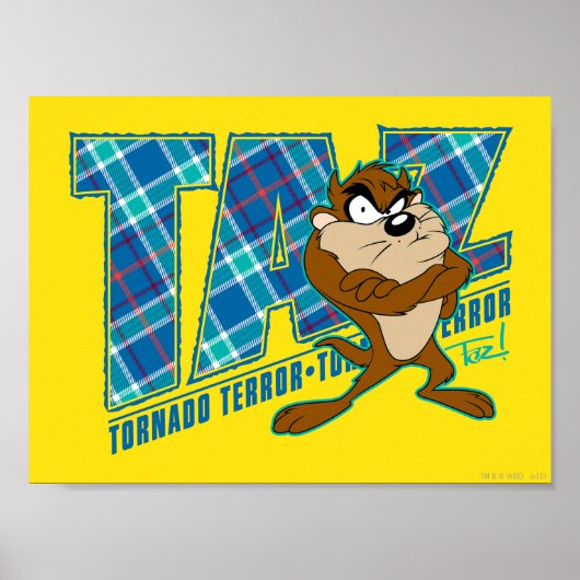 TAZ™ Tornado Poster (Vorne)