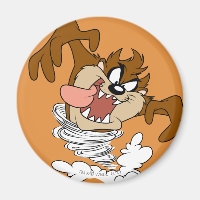 TAZ™ Whirlpool Tornado