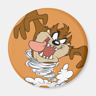TAZ™ Whirlpool Tornado Magnet