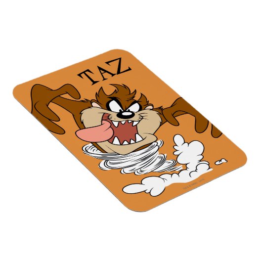 TAZ™ Whirlpool Tornado Magnet (Rechte Seite)